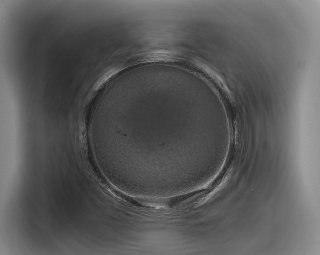X0000115411453200911101602