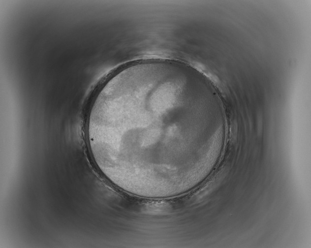 X0000115411454200911101602