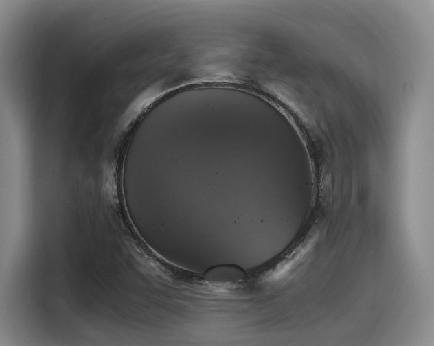 X0000115411455200911101602