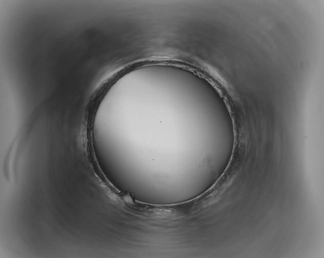 X0000115411456200911101602