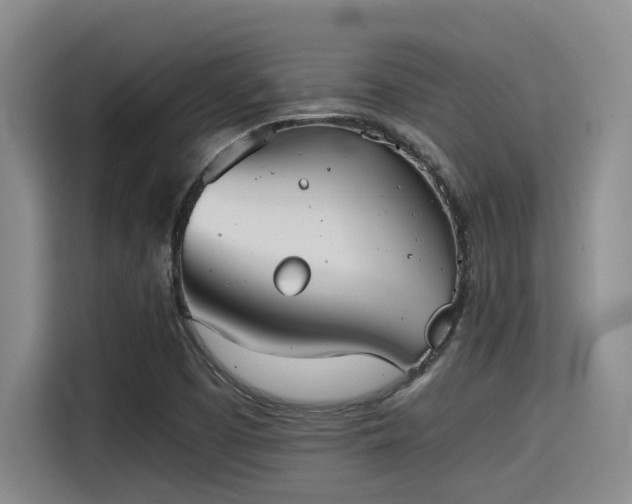 X0000115411457200911101601