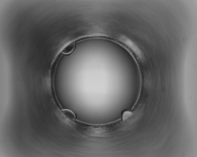 X0000115411460200911101601