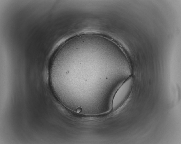 X0000115411461200911101601