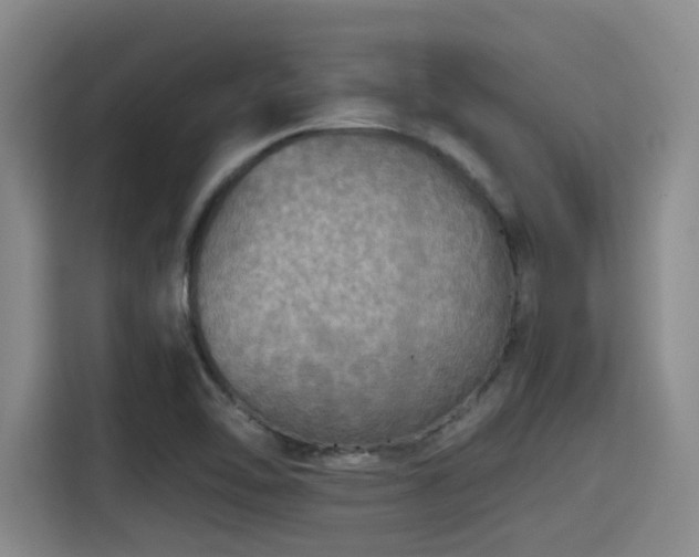 X0000115411462200911101601