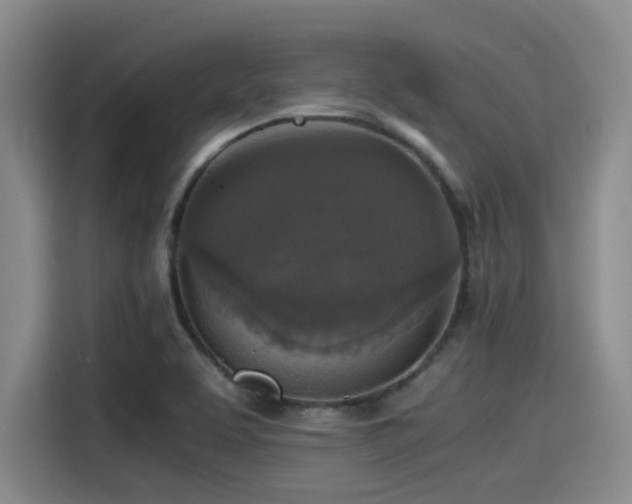 X0000115411463200911101601