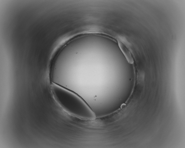 X0000115411464200911101601