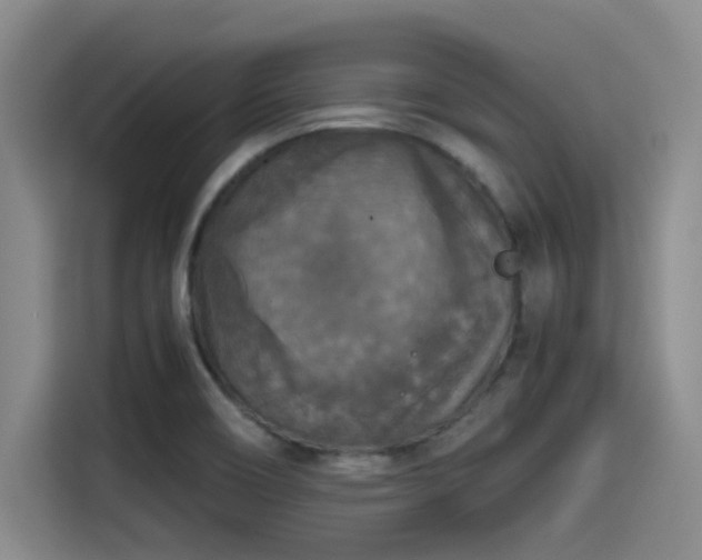 X0000115411466200911101601