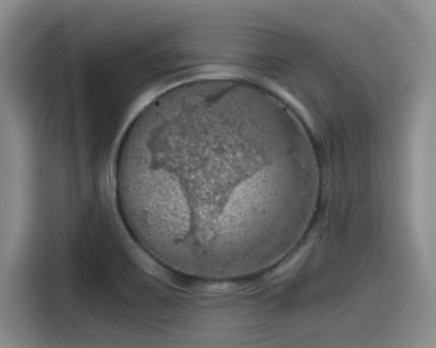 X0000115411467200911101601