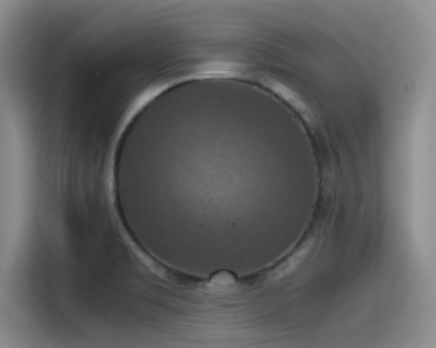 X0000115411469200911101601