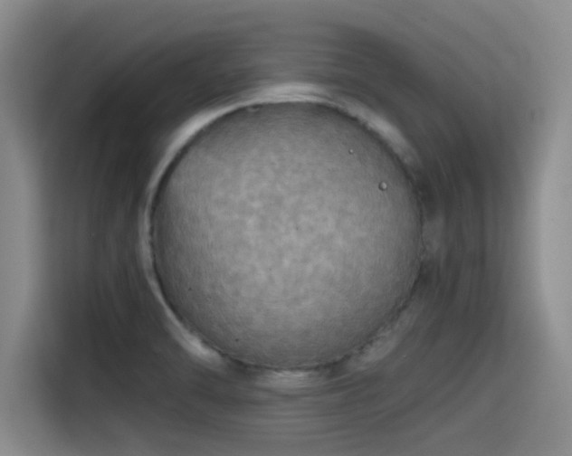 X0000115411470200911101601