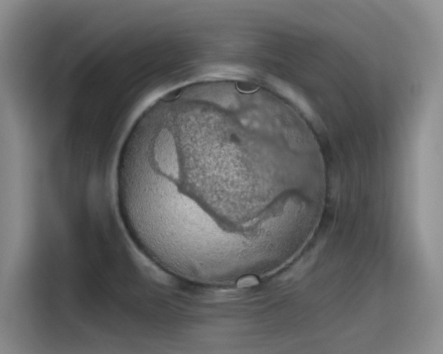 X0000115411471200911101601