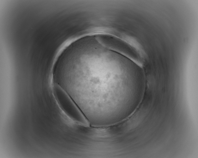 X0000115411472200911101601