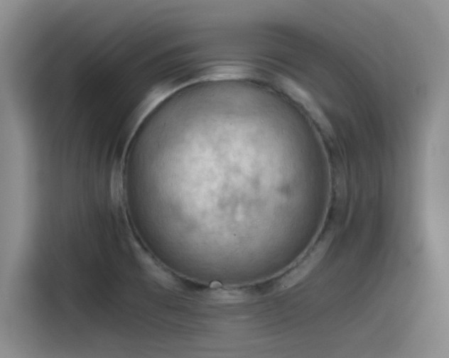 X0000115411473200911101601