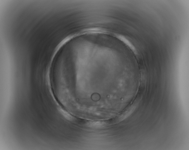X0000115411474200911101601