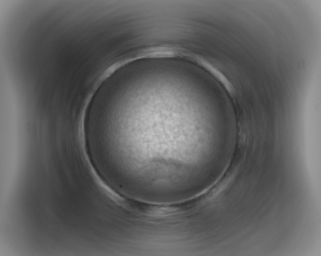 X0000115411475200911101601