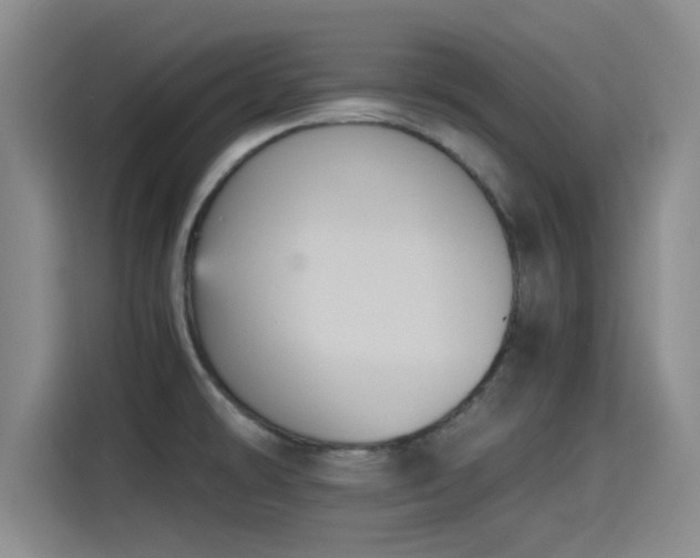 X0000115411478200911101601