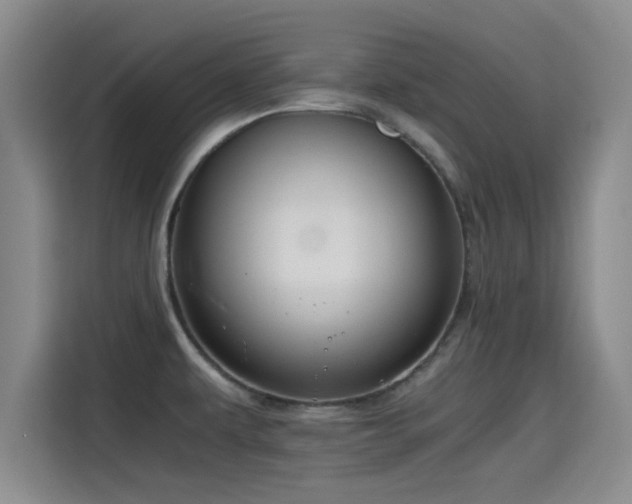 X0000115411479200911101601