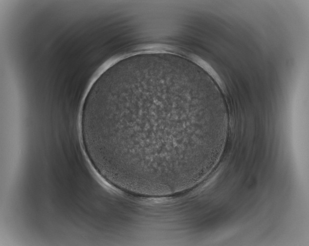 X0000115411482200911101601