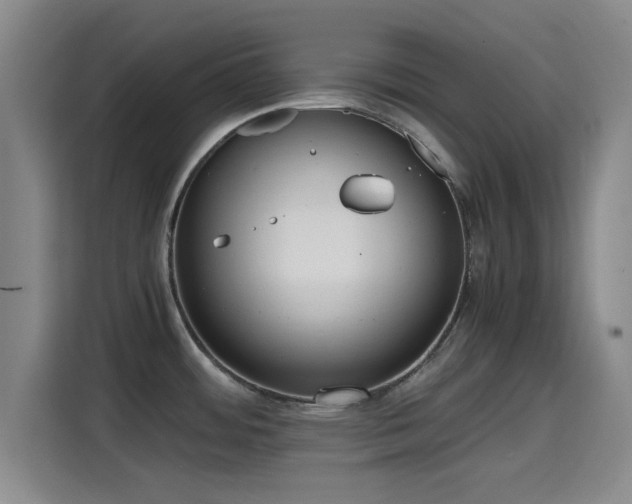X0000115411484200911101601