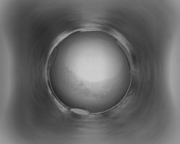 X0000115411485200911101601