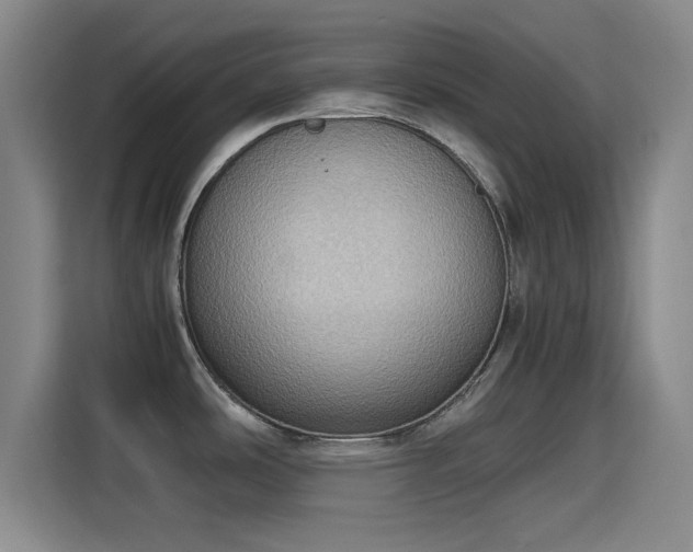 X0000115411486200911101601