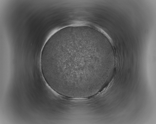 X0000115411487200911101601
