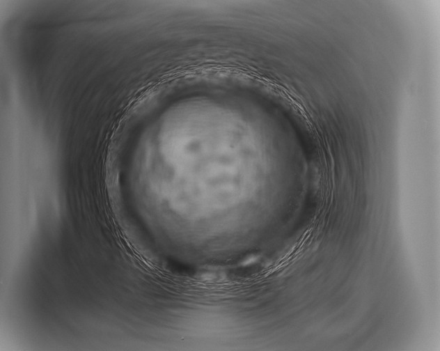 X0000115411489200911101600