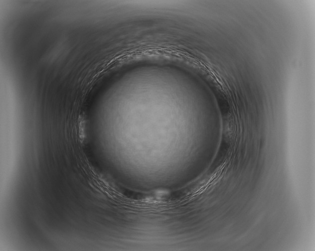 X0000115411490200911101600