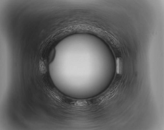 X0000115411491200911101600