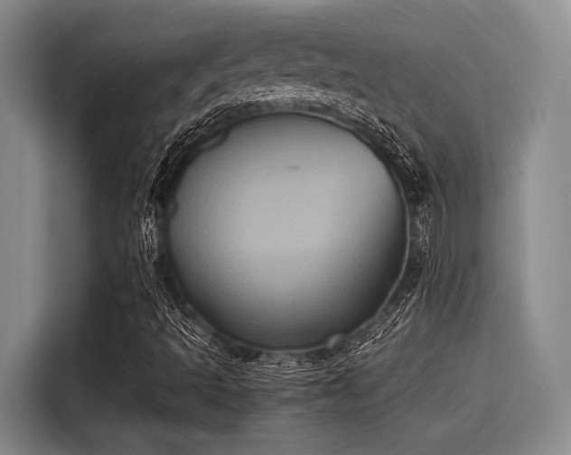 X0000115411493200911101600