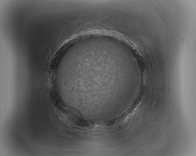 X0000115411494200911101600