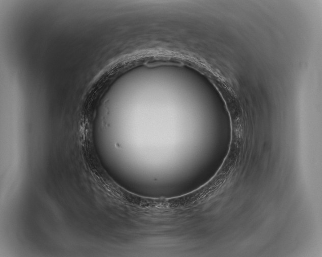 X0000115411495200911101600