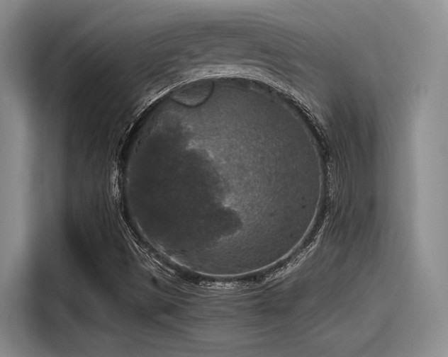X0000115411497200911101600