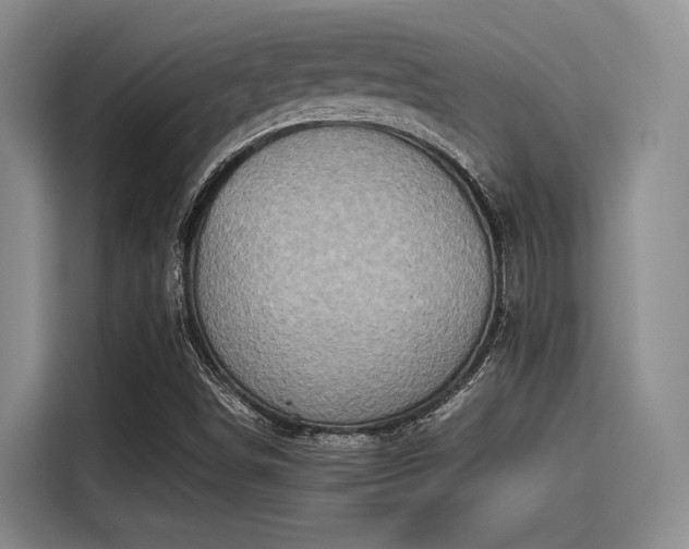 X0000115411498200911101600