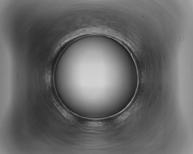 X0000115411499200911101600
