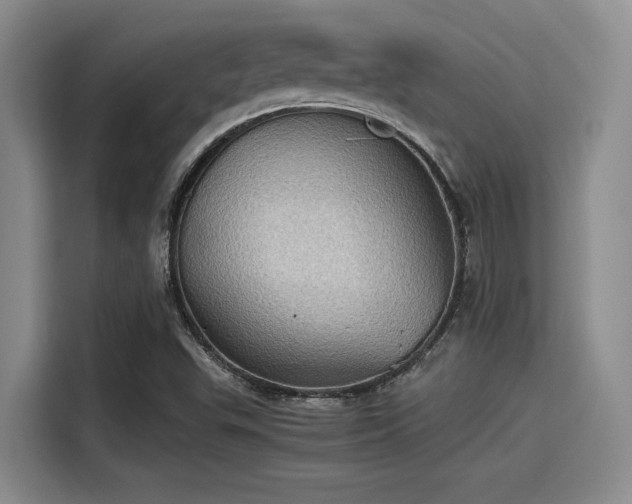 X0000115411503200911101601
