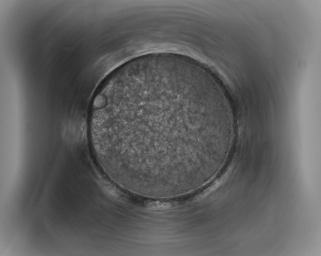 X0000115411505200911101601