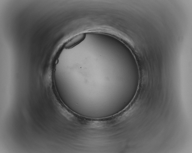 X0000115411506200911101601