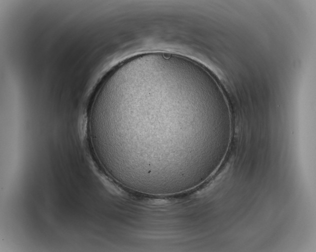 X0000115411507200911101601