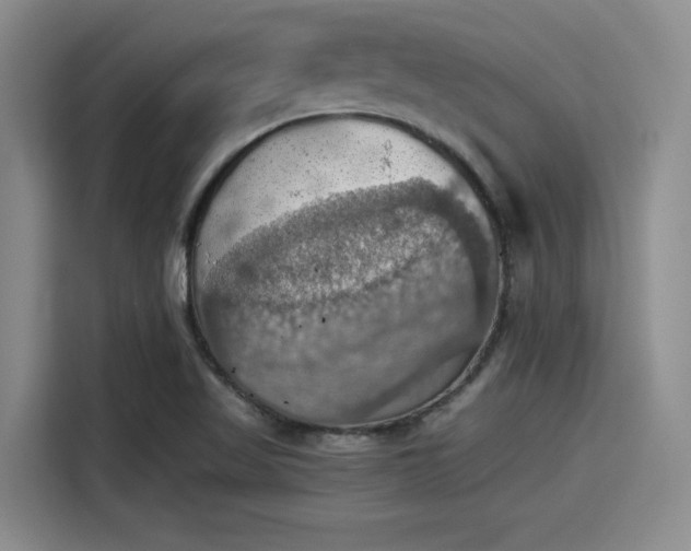 X0000115411509200911101601