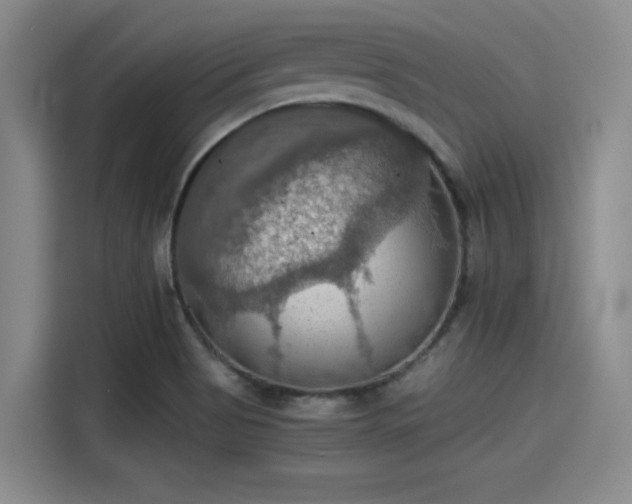 X0000115411513200911101601
