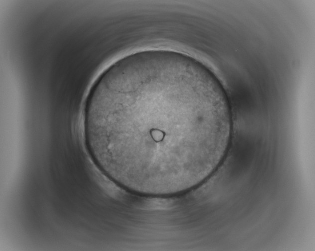X0000115411514200911101601