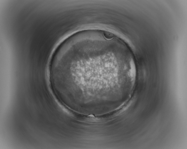 X0000115411517200911101601