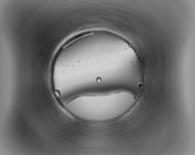 X0000115411518200911101601