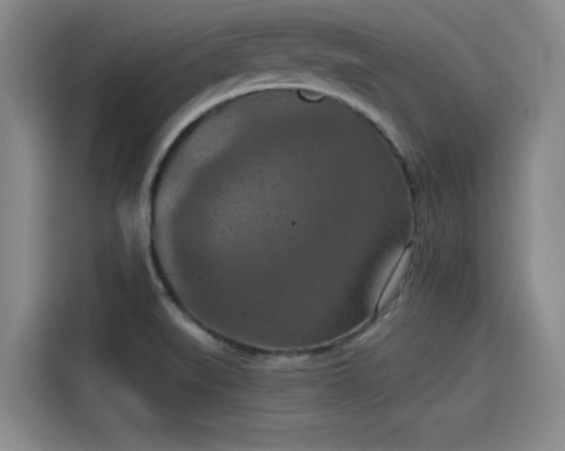 X0000115411519200911101601