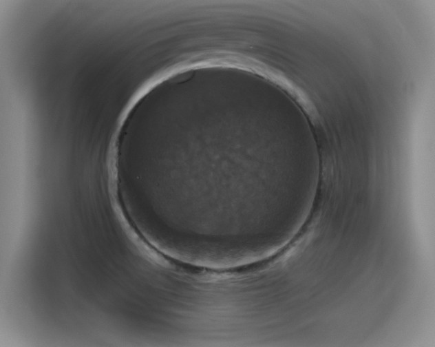 X0000115411522200911101601