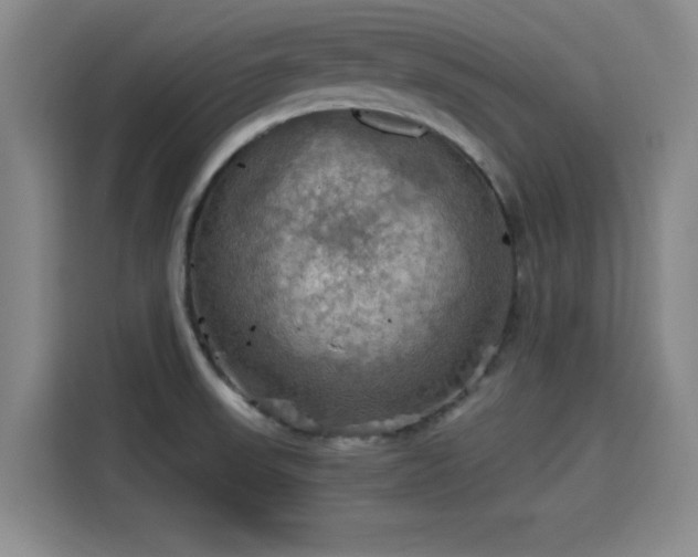 X0000115411523200911101601