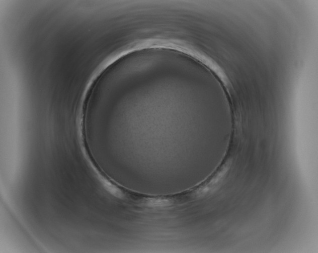 X0000115411525200911101601