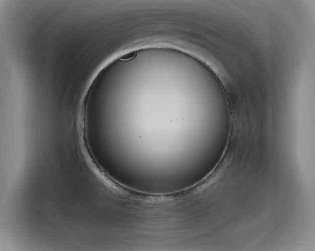 X0000115411526200911101601