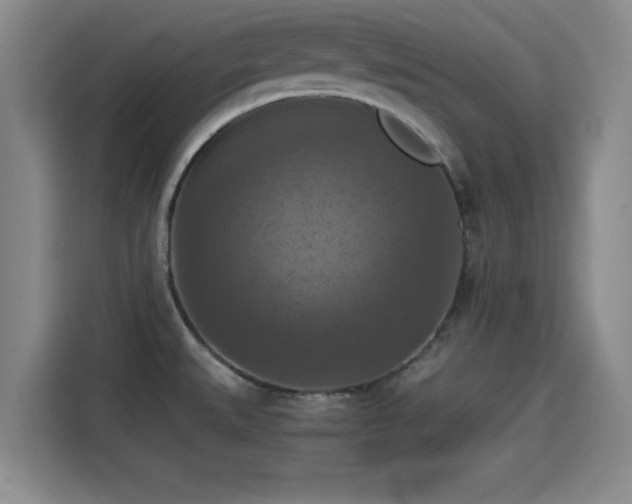 X0000115411527200911101601